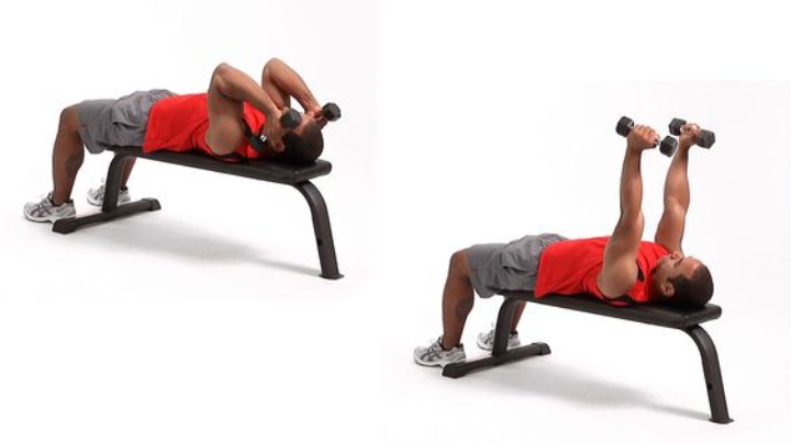 هیپرتروفی عضلانی؛ هرآنچه باید بدانید 8 پشت بازو دمبل خوابیده یکی از تمرینات هیپرتروفی