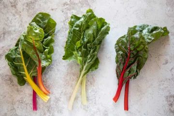 انواع برگ چغندر