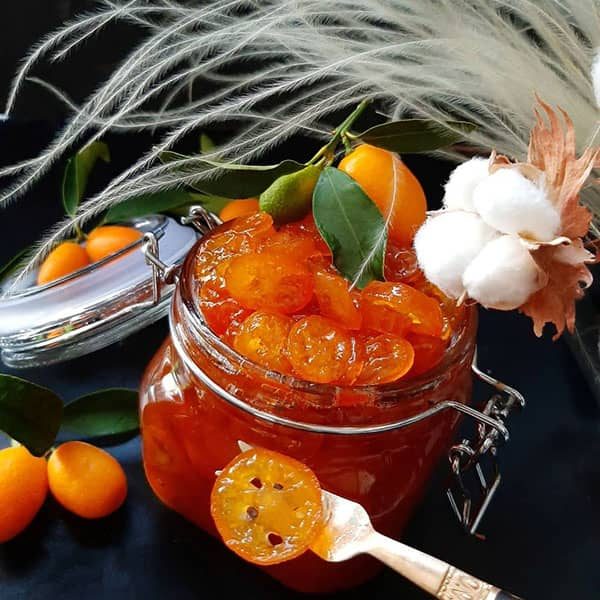 نحوه تهیه مربا کامکوات به شکل درسته و نصف شده خوشرنگ و غلیظ 2 طرز تهیه مربا کامکوات