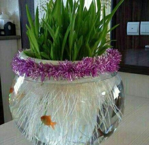 طرز تهیه سبزه ذرت