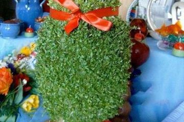 طرز تهیه سبزه شاهی