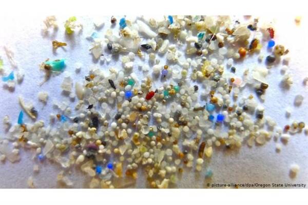 ارتباط مستقیمی بین وجود میکروپلاستیک در بدن و افزایش خطر حمله قلبی و سکته مغزی وجود دارد