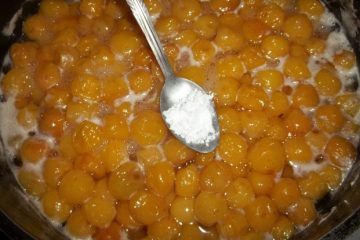 طرز تهیه مربا گیلاس زرد