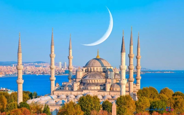 کیملیک ترکیه چیست؟ بازدید جزئیات و کاربرد آن_سلوادور 4 1719732357 494 کیملیک ترکیه چیست؟ بازدید جزئیات و کاربرد آن سلوادور