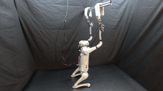 ربات لوکومن