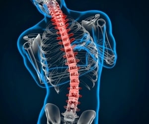 برچسبی که می‌تواند آسیب نخاعی را درمان کند