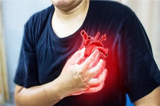 محققان از زهر عنکبوت برای درمان حمله قلبی استفاده کردند