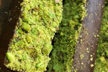 طرز تهیه شکلات دبی ترند با پسته و شعریه در خانه