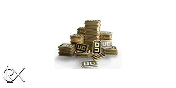 1737259202 827 تاثیرات گرافیک و هوش مصنوعی در بازی پابجی موبایل سلوادور