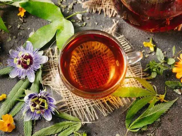 1742009395 302 دمنوش های سودمند ۱۲ دمنوش گیاهی سودمند که باید امتحان.webp