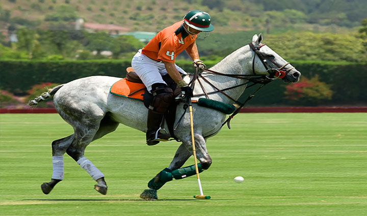 گران ترین ورزش های جهان؛ ۱۱ ورزش لاکچری و پرهزینه اما جذاب_سلوادور 28 چوگان - گران ترین ورزش های جهان