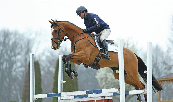 گران ترین ورزش های جهان؛ ۱۱ ورزش لاکچری و پرهزینه اما جذاب_سلوادور 24 اسب سواری - گران ترین ورزش های جهان