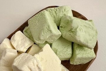 طرز تهیه بستنی خشک