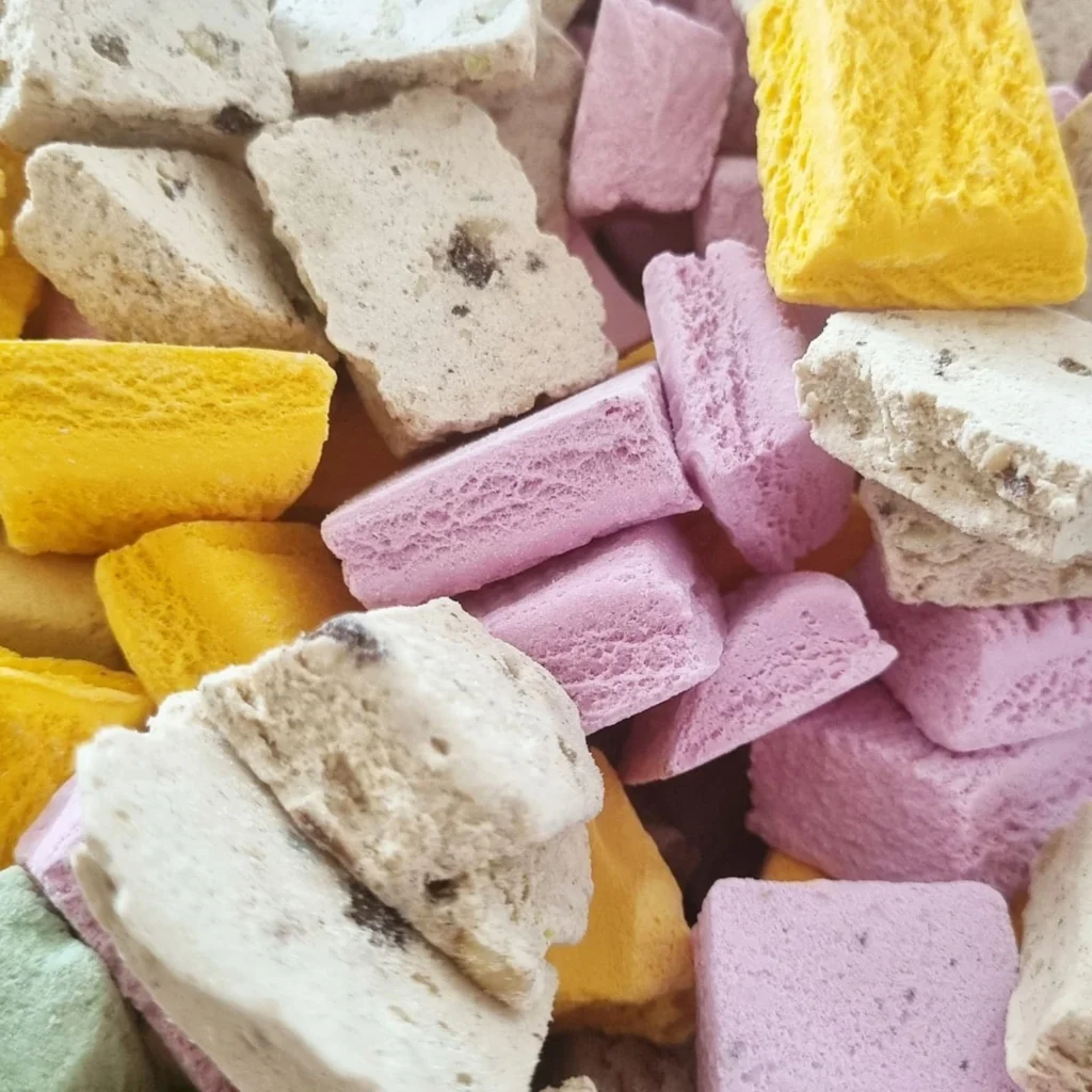 نحوه تهیه بستنی خشک خانگی بدون دستگاه پفکی و نرم مناسب پذیرایی_سلوادور 4 طرز تهیه بستنی خشک