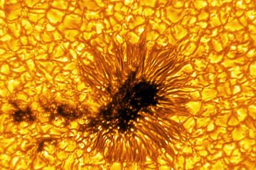 بزرگ‌ترین تلسکوپ خورشیدی دنیا، ستاره ما را با جزئیات بی‌سابقه به تصویر کشیده است