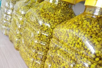 طرز تهیه ترشی بنه