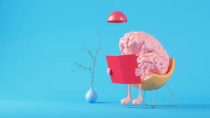 1747916154 878 انواع تیپ مغزی و تأثیر آن بر شخصیت ‌ تیپ.webp