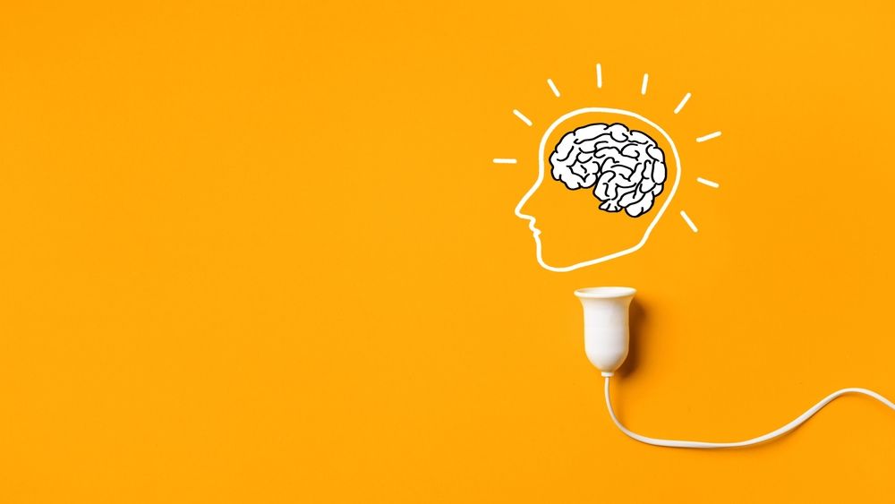 انواع تیپ مغزی و تأثیر آن بر شخصیت ‌ تیپ