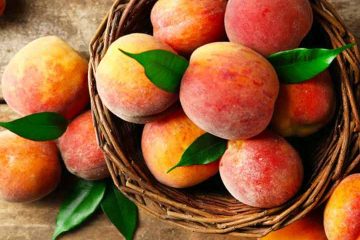 خواص هلو، هلو چیست؟