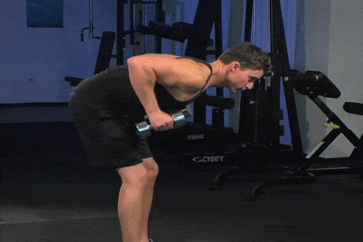 حرکات بدنسازی با دمبل؛ ۲۷ تمرین و انواع حرکات با دمبل_سلوادور 76 ورزش با دمبل - کیک بک عضله سه سر بازویی