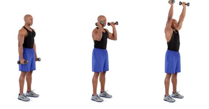 حرکات بدنسازی با دمبل؛ ۲۷ تمرین و انواع حرکات با دمبل_سلوادور 69 1752068079 975 حرکات بدنسازی با دمبل؛ ۲۷ تمرین و انواع حرکات با