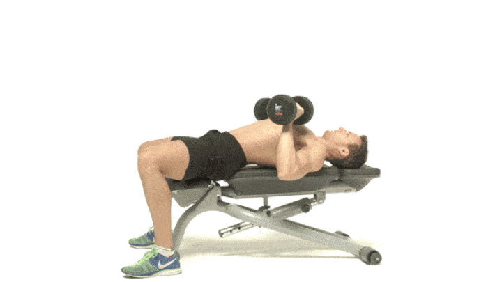 حرکات بدنسازی با دمبل؛ ۲۷ تمرین و انواع حرکات با دمبل_سلوادور 67 ورزش با دمبل - پرس نیمکت