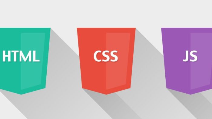 بهترین زبان برنامه نویسی برای طراحی سایت: راهنمای جامع انتخاب_سلوادور 10 زبان برنامه نویسی مناسب برای طراحی سایت