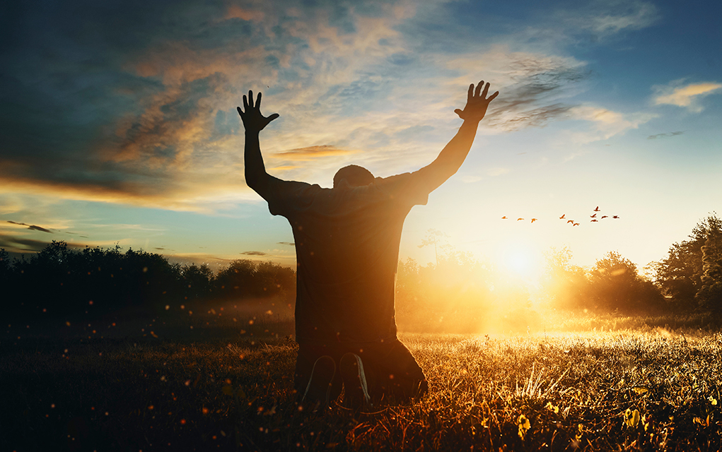 تعظیم به نور در دشتزار جلوی آسمان